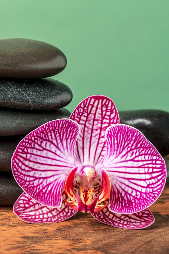Orchid flower with a stack of black massage stones on a wooden table (mango wood). Space for copy.