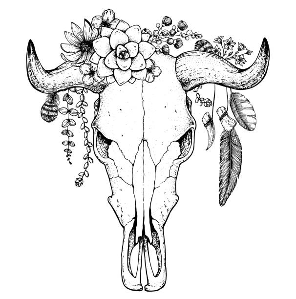 Cow Skull Flower Stock Photos, Pictures & Royalty-Free Images - iStock