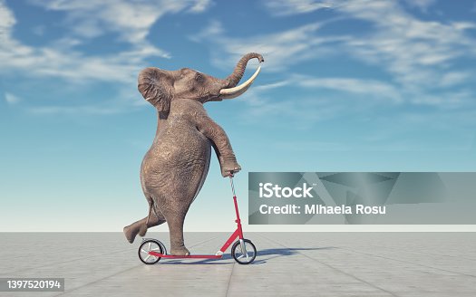 istock Elephant riding a scooter. 1397520194