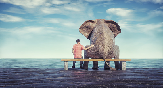 Elephant and a  man sitting on bench admiring the sea. Friendship and support concept. This is a 3d render illustration