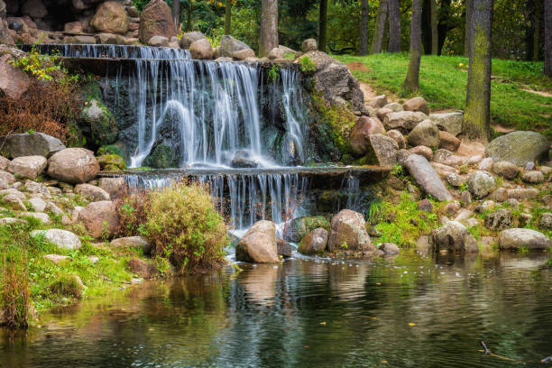 flowing stream through small rocks and green plant.