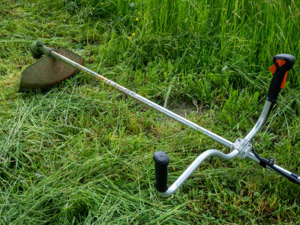 istock Brush cutter in a meadow Mowing equipment 1397522654