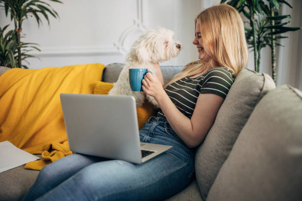 istock Young woman working online from home 1397525338