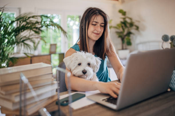 istock Getting her home business up and running 1397525387