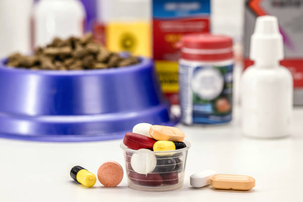 動物用丸薬または医薬品、ペット用医薬品、ペット用サプリメントまたはビタミン、ペットフードを背景に - vitamin a nutritional supplement pill capsule ストックフォトと画像