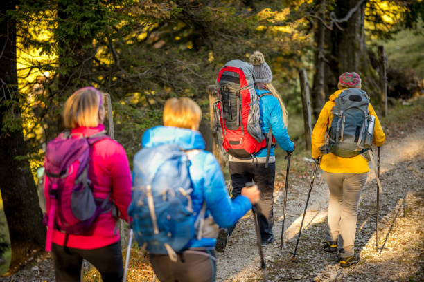 istock Hikers with backpacks walking on tourist trail in forest 1397527229