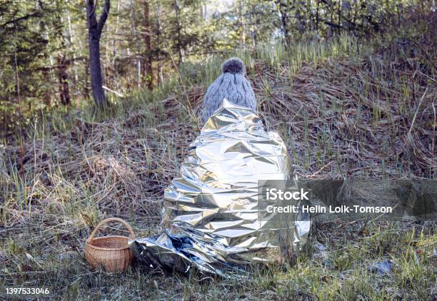 Woman Person Is Lost And Sit In Wild Forest In Cold Day Using First Aid Emergency Blanket To Prevent Hypothermia And Body Heat Loss Emergency Blanket Concept Stock Photo - Download Image Now