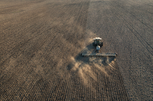 Tractor sowing corn on cultivated field using no-till seed drill technology on sunset.