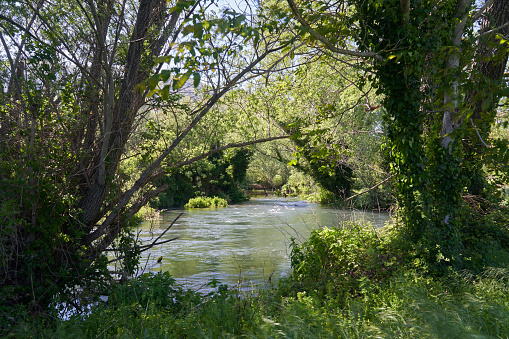 duck pond in Dunbar Cave State Park