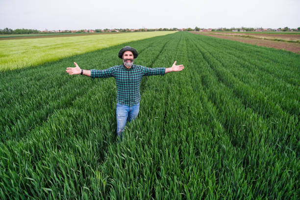 istock Farmer with arms outstretched  in his growing wheat field 1397535305