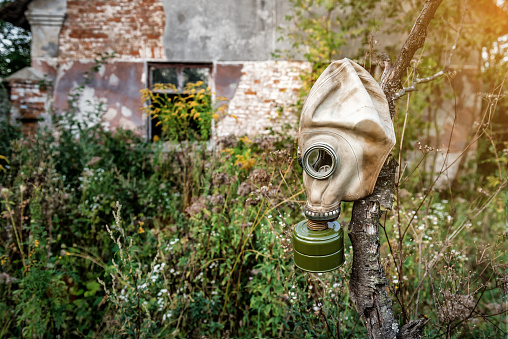 Rubber gas mask hanging on a tree in an abandoned radioactive area