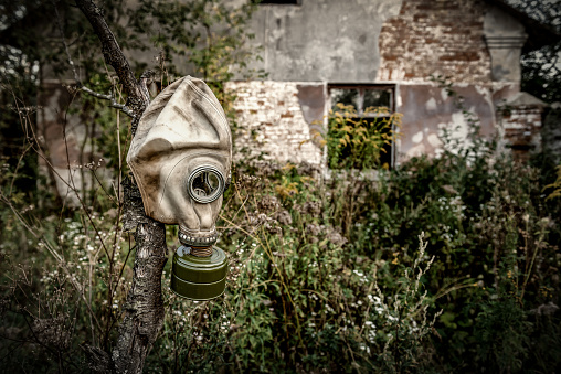 Gas mask hanging on a tree in an abandoned radioactive area
