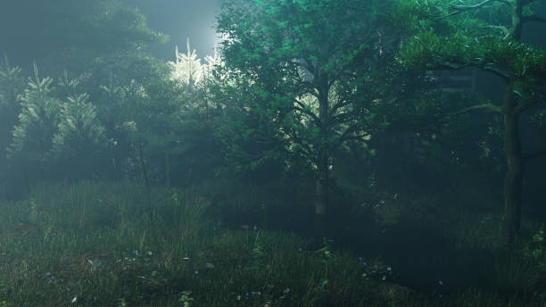 istock 21. Night scenery in the wild forest - beautiful natural scenery 1397537279
