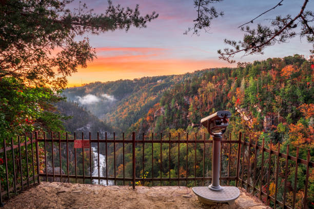 tallulah falls, georgia, usa overlooking tallulah gorge - blue ridge mountains appalachian mountains sunrise mountain imagens e fotografias de stock