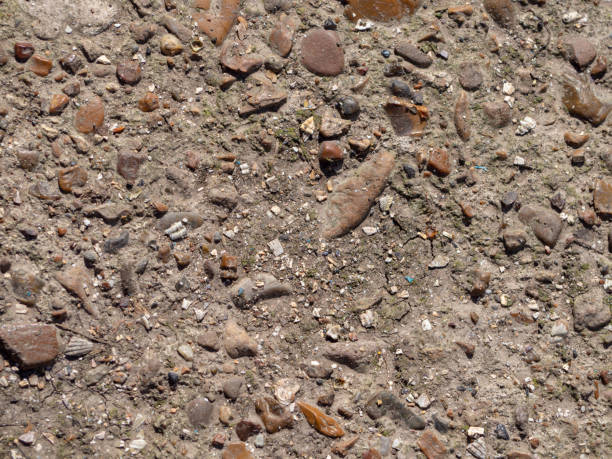 istock Abstract textured brown background. An old rough texture, a gray concrete slab with small multicolored pebbles and earth 1397539662