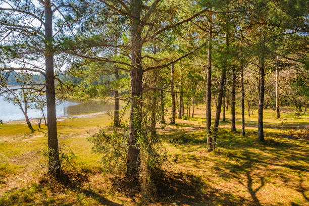 istock Bartolome Hidalgo Park, Flores, Uruguay 1397540005