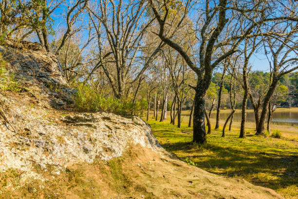 istock Bartolome Hidalgo Park, Flores, Uruguay 1397540251