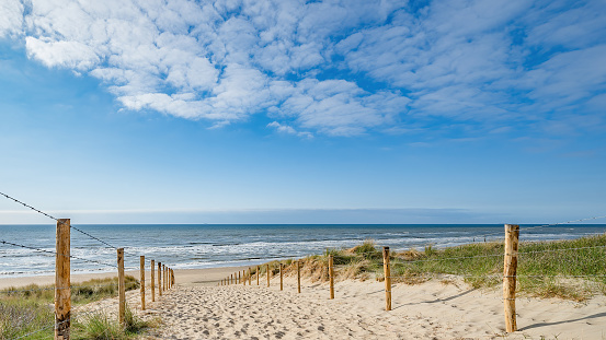 Sand fences line both sides of a path leading through a low dune to a sandy beach on Cape Cod