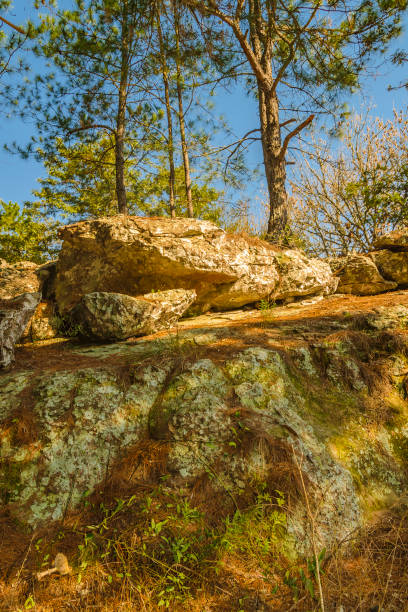 istock Bartolome Hidalgo Park, Flores, Uruguay 1397540948