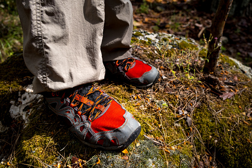 Close-up in nature. There is a tree branch used instead of a trekking pole at the tip of the walking shoes with red details under the feet pants