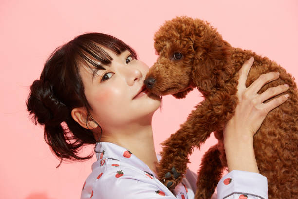 istock Young woman in pajamas with a poodle 1397548059