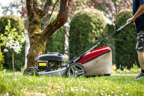 istock Man mowing grass by lawn mower at backyard 1397550840