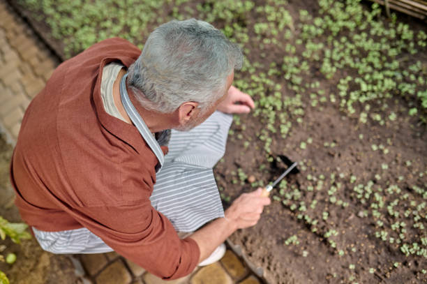 istock Top view of man shaking ground with seedlings 1397551313