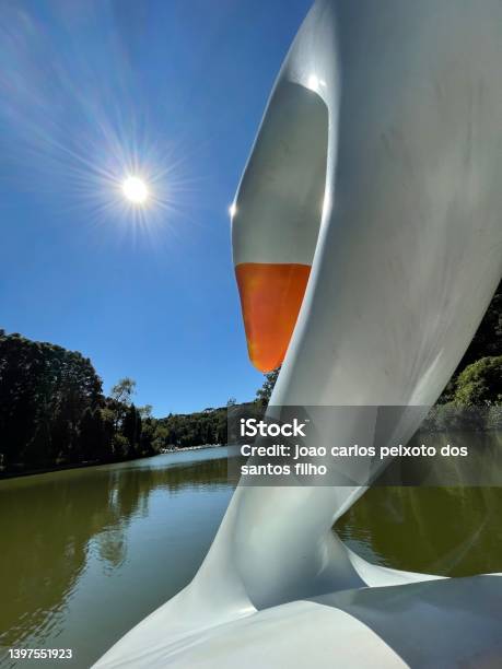 Lens and Screen Cloth - Pohutukawa and Swan Lens and Screen Cloth - Pohutukawa and Swan