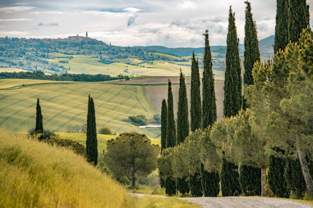 sunny landscape from val d'orcia, tuscany, italy - morning italy shadow sunlight photos et images de collection