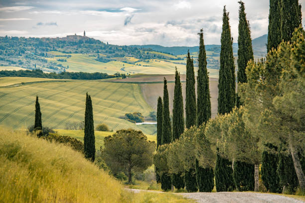 paesaggio soleggiato dalla val d'orcia, toscana, italia - morning italy shadow sunlight foto e immagini stock