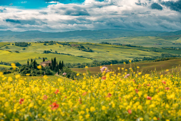 ヴァル ・ ドルチャ、トスカーナ、イタリアから晴れた風景 - val tuscany cypress tree italy ストックフォトと画像