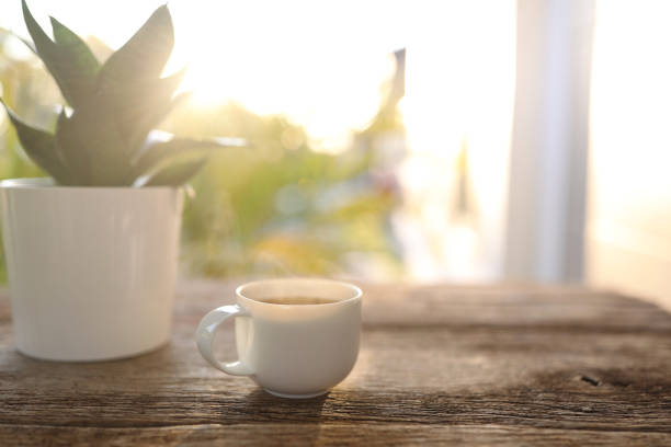 istock White coffee cup and Hahnii mini snake plant pot 1397552073