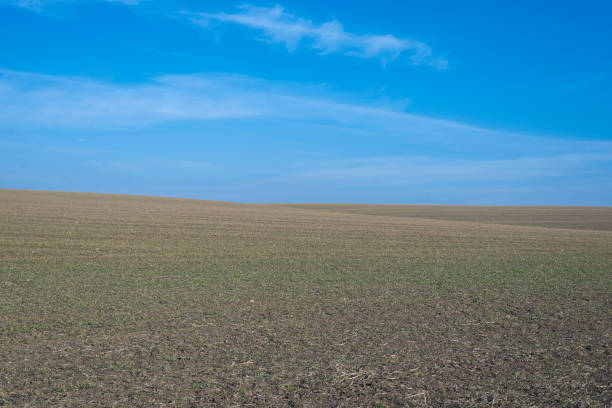 istock Ploughed field and blue sky as background. 1397552544