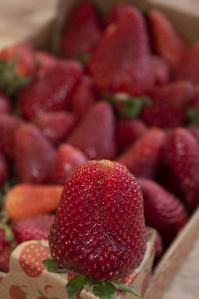 istock close-up of a ripe strawberry 1397554455