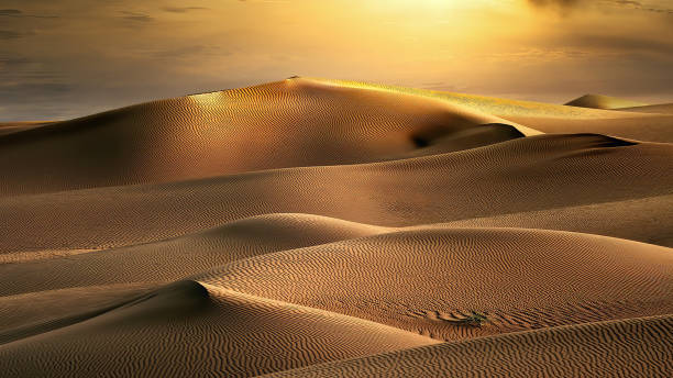 bellissimo paesaggio desertico di dune di sabbia in arabia saudita. - arabian peninsula immagine foto e immagini stock