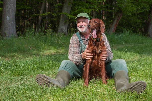 istock The old hunter and his beautiful Irish Setter. 1397555756