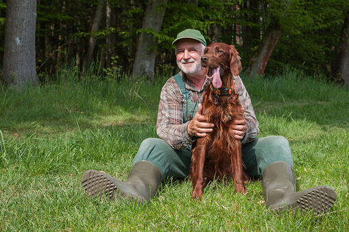 An old hunter in dungarees and green rubber boots is sitting in the sun at the edge of the forest. He lovingly holds his Irish Setter Hound between his legs.