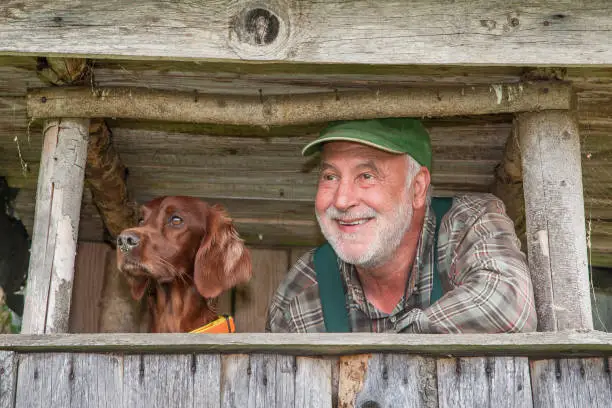 A hunter and his dog watch the passing game from the hunting pulpit and have fun together. The fine senses of the dog noticed the moving game much earlier than the hunter.