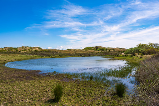 A pond in the dune landscape near Egmond aan Zee/Netherlands on the North Sea