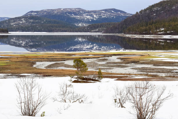 istock Norwegian lake Vaavatnet in the spring 1397559219