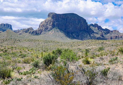 A view to the mountain ridges in the Big Bend National Park in the Chihuahua desert in Texas.