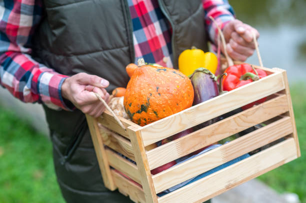 istock A male farmer carrying a box with vegetables 1397561306