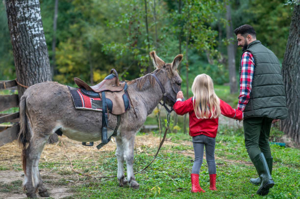 istock Dad and daughter spending time on the farm 1397561458