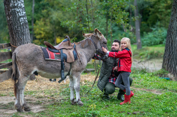 istock Dad and daughter spending time on the farm 1397561464