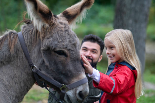 istock Dad and daughter spending time on the farm 1397561466