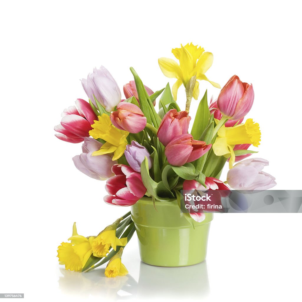 Весенние цветы - Стоковые фото Весна роялти-фри