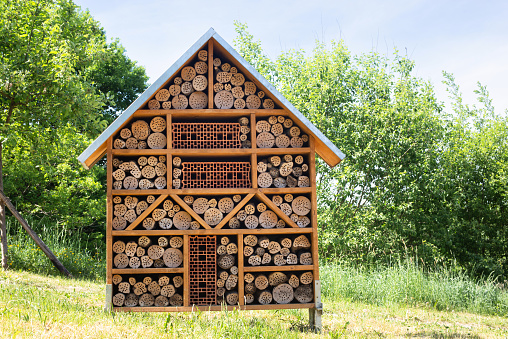 Wooden insect hotel, habitat for bugs and bees, rescue house, environment and ecology conversation, protect wildlife