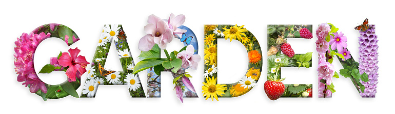 Garden. Floral letters. The letters are made from colorful flower photos. High quality.