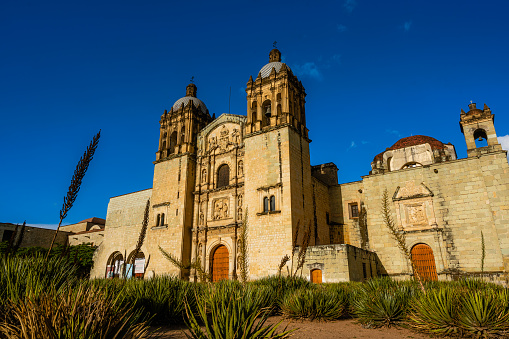 fotografía en ángulo bajo de la iglesia de Santo Domingo de Guzmán con agaves photo