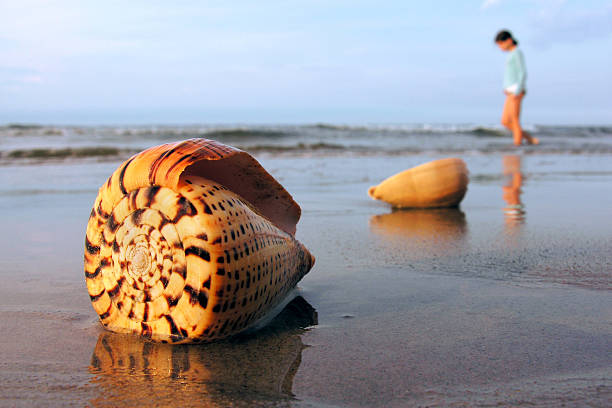 istock Girl on the exotic beach 139756802
